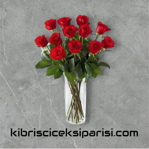 12 Kırmızı Gül Vazosu