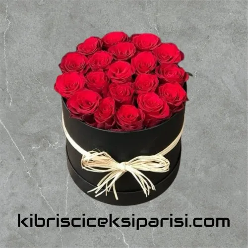 Kutuda 20 Kırmızı Gül