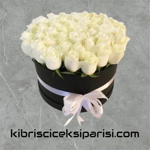 Kutuda 51 Beyaz Gül