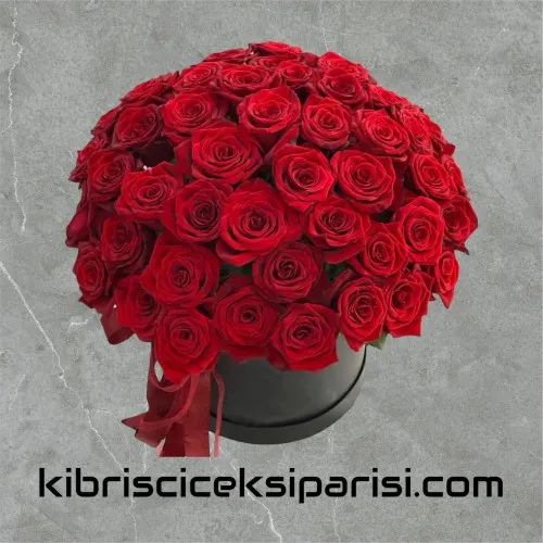 Kutuda 51 Kırmızı Gül
