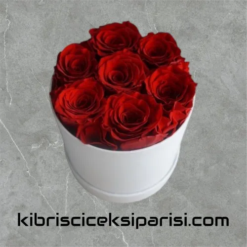 Kutuda 7 Kırmızı Gül