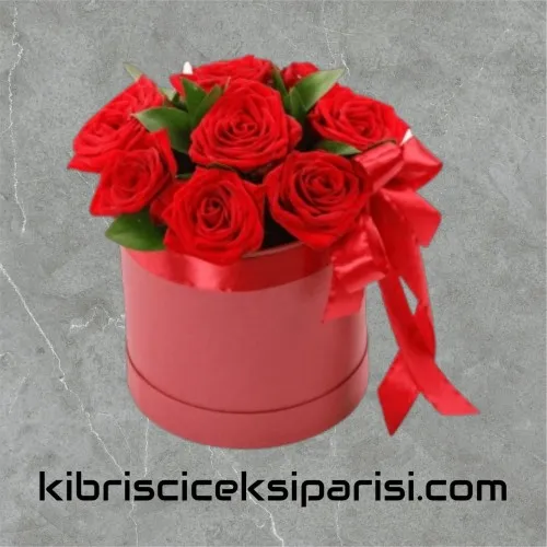 Kutuda 9 Kırmızı Gül