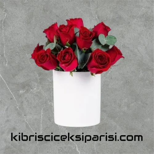 Seramikte 11 Kırmızı Gül