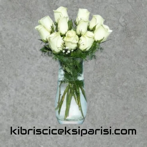 Vazoda 11 Beyaz Gül