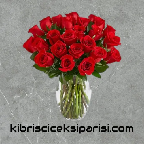 Vazoda 25 Kırmızı Gül