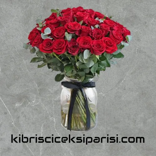 Vazoda 51 Kırmızı Gül