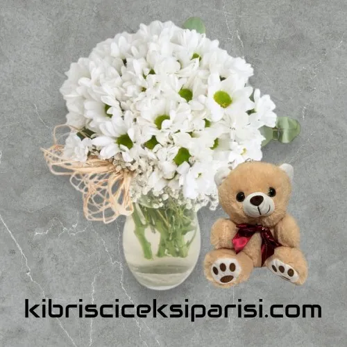 Vazoda Papatya Ve Ayıcık