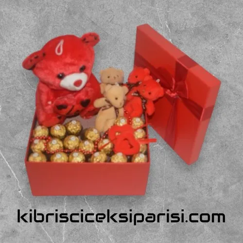 Büyük Boy Dörtgen Kutuda 1 Büyük Ayıcık, 4 Ayıcık ve 20 Çikolata