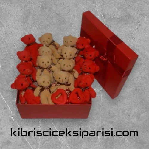 Büyük Boy Dörtgen Kutuda 16 Ayıcık