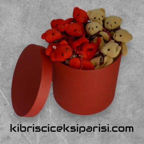 Büyük Boy Silindir Kutuda 10 Ayıcık