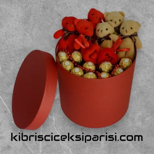 Büyük Boy Silindir Kutuda 6 Ayıcık ve 10 Çikolata