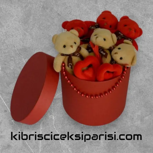 Küçük Boy Silindir Kutuda 6 Ayıcık