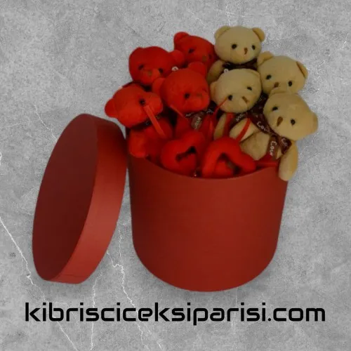 Orta Boy Silindir Kutuda 8 Ayıcık